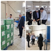 سرپرست معاونت غذا و دارو از شرکت های تولیدی و صنعتی انار بازدید کرد.