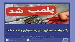 یک عطاری درپی ارائه فراورده های دارویی دست ساز پلمب شد