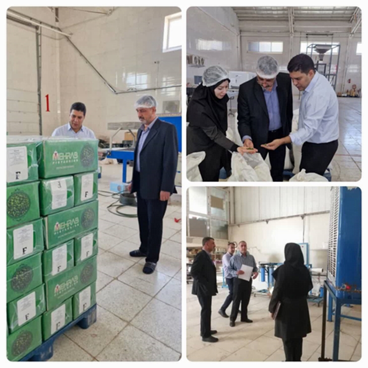 سرپرست معاونت غذا و دارو از شرکت های تولیدی و صنعتی انار بازدید کرد.